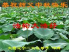 Published on 10/3/2017 ���ֹ�,��½�󷨵��ӹ�ףʦ�������(32��)