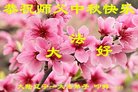 Published on 10/3/2017 ���ֹ�,��½�󷨵��ӹ�ףʦ�������(32��)