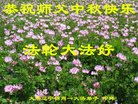 ֹ,ݴ󷨵ӹףʦ(20)