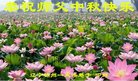ֹ,ݴ󷨵ӹףʦ(20)