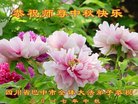 Published on 10/3/2017 ���ֹ�,��½�󷨵��ӹ�ףʦ�������(27��)
