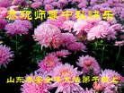 Published on 10/3/2017 ���ֹ�,��½�󷨵��ӹ�ףʦ�������(32��)