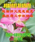 Published on 10/1/2017 ���ֹ�,����ϵͳ�󷨵��ӹ�ףʦ�������(23��)
