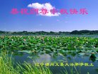 ֹ,ݴ󷨵ӹףʦ(20)