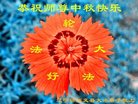 ֹ,ݴ󷨵ӹףʦ(20)