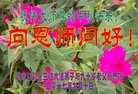 ֹ,żҿڴ󷨵ӹףʦ(20)