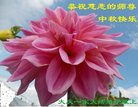 ֹ,󷨵ӹףʦ(19)