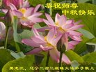 Published on 10/2/2017 ���ֹ�,���󷨵��ӹ�ףʦ�������(19��)