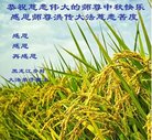 Published on 10/2/2017 ���ֹ�,���󷨵��ӹ�ףʦ�������(19��)