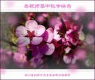 Published on 10/3/2017 ���ֹ�,��½�󷨵��ӹ�ףʦ�������(28��)