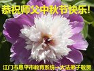 Published on 10/3/2017 ���ֹ�,��½�󷨵��ӹ�ףʦ�������(30��)