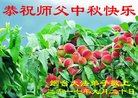 Published on 10/3/2017 ���ֹ�,��½�󷨵��ӹ�ףʦ�������(32��)