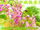 Published on 10/2/2017 ���ֹ�,��½�󷨵��ӹ�ףʦ�������(28��)