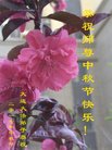 ֹ,󷨵ӹףʦ(20)