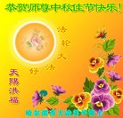 Published on 10/3/2017 ���ֹ�,��½�󷨵��ӹ�ףʦ�������(26��)