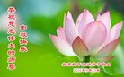 Published on 10/3/2017 ���ֹ�,��½�󷨵��ӹ�ףʦ�������(26��)