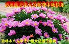 ֹ,д󷨵ӹףʦ(18)