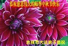 ֹ,д󷨵ӹףʦ(18)
