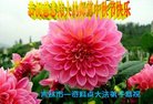 Published on 10/4/2017 ���ֹ�,��½�󷨵��ӹ�ףʦ�������(28��)