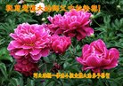 Published on 10/3/2017 ���ֹ�,��½�󷨵��ӹ�ףʦ�������(39��)