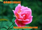 Published on 10/3/2017 ���ֹ�,��½�󷨵��ӹ�ףʦ�������(39��)