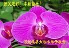Published on 10/2/2017 ���ֹ�,��С���ӹ�ףʦ�������(21��)