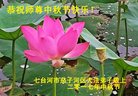 Published on 10/2/2017 ���ֹ�,��½�󷨵��ӹ�ףʦ�������(29��)