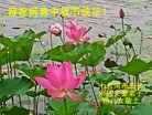 Published on 10/2/2017 ���ֹ�,��½�󷨵��ӹ�ףʦ�������(29��)