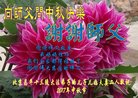 ֹ,󷨵ӹףʦ(21)