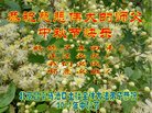Published on 10/2/2017 ���ֹ�,��½�󷨵��ӹ�ףʦ�������(27��)