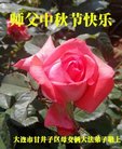 ֹ,󷨵ӹףʦ(20)