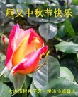 ֹ,󷨵ӹףʦ(20)
