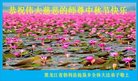 Published on 10/2/2017 ���ֹ�,��½�󷨵��ӹ�ףʦ�������(33��)
