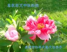 Published on 10/2/2017 ���ֹ�,��½�󷨵��ӹ�ףʦ�������(30��)