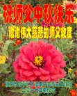 Published on 10/2/2017 ���ֹ�,��½�󷨵��ӹ�ףʦ�������(30��)