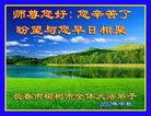ֹ,ʡ󷨵ӹףʦ(22)