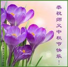 ֹ,󷨵ӹףʦ(21)