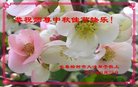Published on 10/2/2017 ���ֹ�,��½�󷨵��ӹ�ףʦ�������(33��)