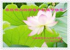 Published on 10/2/2017 ���ֹ�,��½�󷨵��ӹ�ףʦ�������(33��)