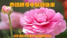 Published on 10/2/2017 ���ֹ�,��½�󷨵��ӹ�ףʦ�������(30��)