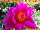 Published on 10/2/2017 ���ֹ�,��½�󷨵��ӹ�ףʦ�������(32��)