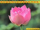 Published on 10/2/2017 ���ֹ�,��½�󷨵��ӹ�ףʦ�������(32��)