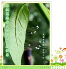 Published on 10/2/2017 ���ֹ�,��½�󷨵��ӹ�ףʦ�������(30��)