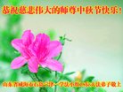 Published on 10/2/2017 ���ֹ�,��½�󷨵��ӹ�ףʦ�������(33��)