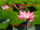 Published on 10/2/2017 ���ֹ�,��½�󷨵��ӹ�ףʦ�������(28��)