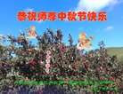 ֹ,ɹŴ󷨵ӹףʦ(19)