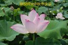 Published on 10/1/2017 ���ֹ�,��½�󷨵��ӹ�ףʦ�������(29��)