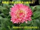 Published on 10/1/2017 ���ֹ�,��½�󷨵��ӹ�ףʦ�������(27��)