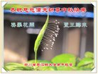 Published on 10/1/2017 ���ֹ�,��½�󷨵��ӹ�ףʦ�������(27��)