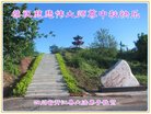 Published on 10/1/2017 ���ֹ�,��½�󷨵��ӹ�ףʦ�������(27��)
